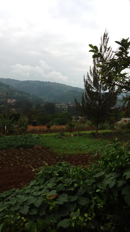 White Horse Inn Kabale Extérieur photo